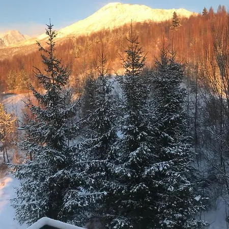 Vlasta Апартаменты