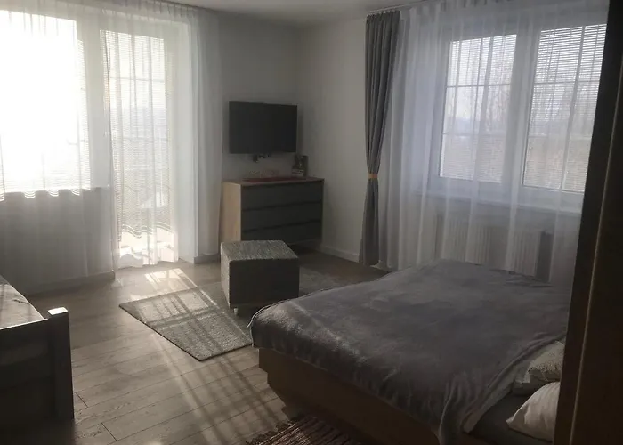 Vlasta Apartament *