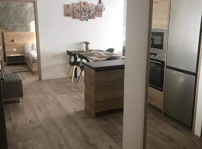 Vlasta Apartament *
