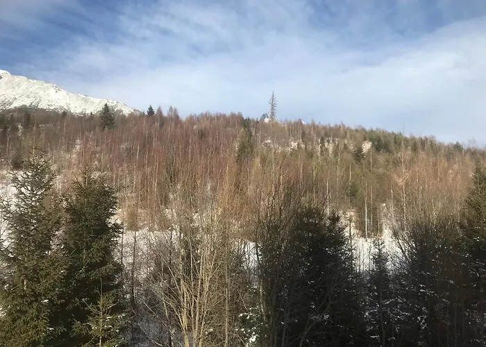 Vlasta Apartament Wysokie Tatry