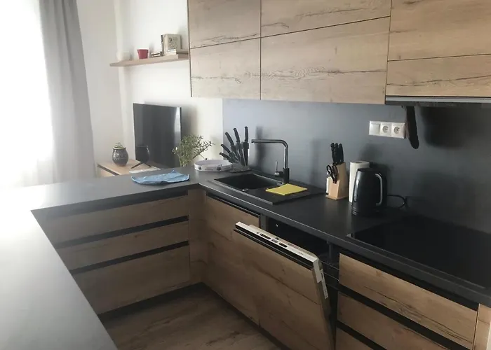 Vlasta Apartament