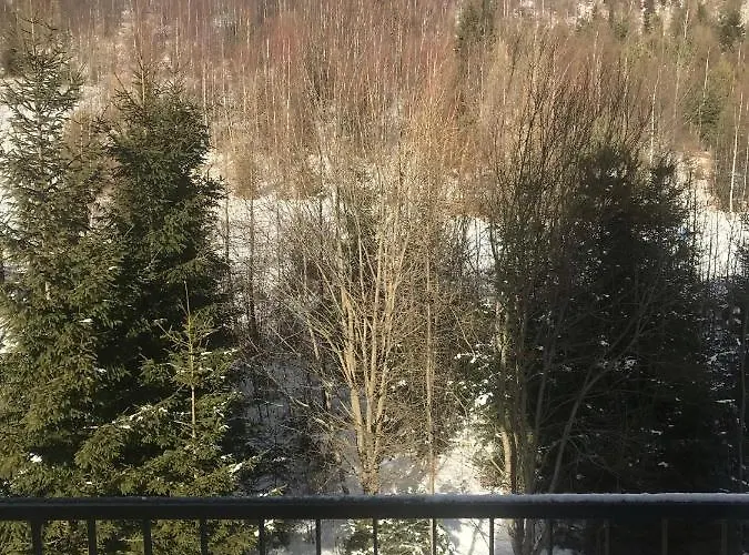 Apartament Vlasta *