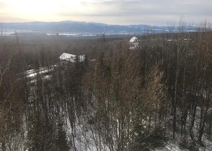 Vlasta