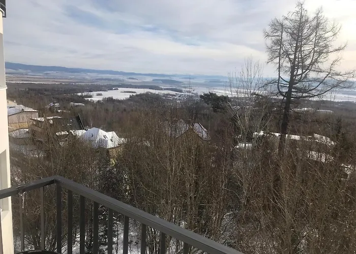 Vlasta Apartament