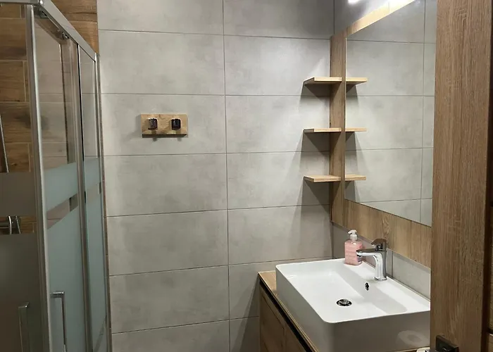 Vlasta Apartament